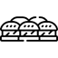 گازگرتنی پاپا
